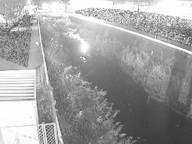 東洋橋付近のカメラ画像