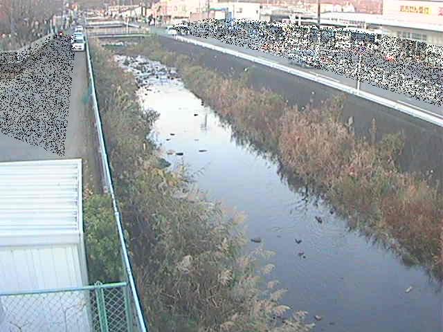 山王川 東洋橋付近のカメラ画像