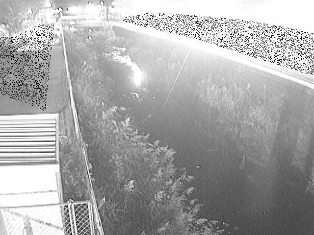 東洋橋付近のカメラ画像