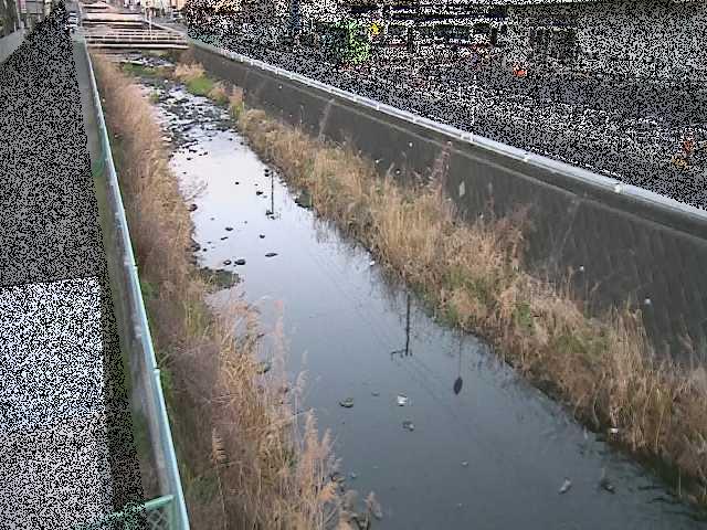 東洋橋付近のカメラ画像