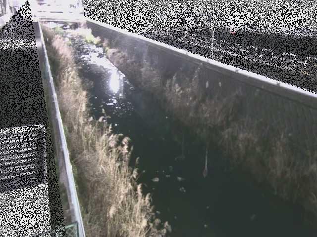 東洋橋付近のカメラ画像