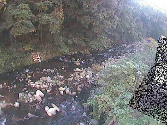 千歳川 千歳付近のカメラ画像