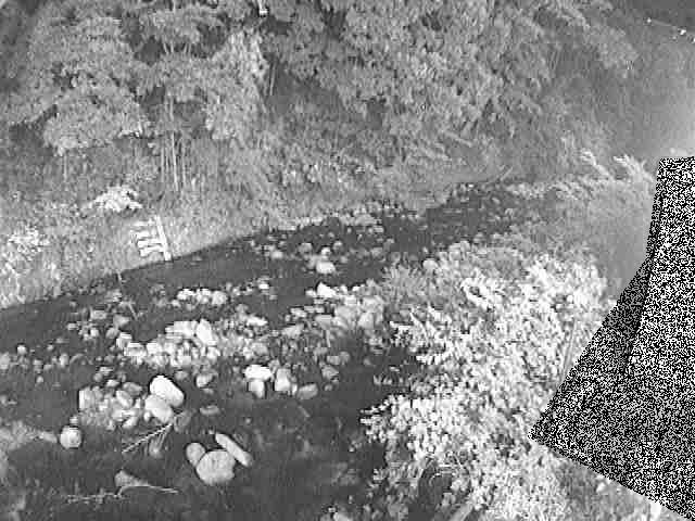 千歳付近のカメラ画像