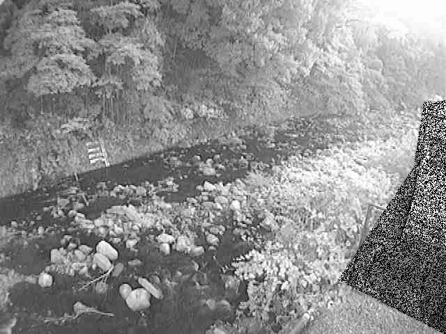 千歳川 千歳付近のカメラ画像