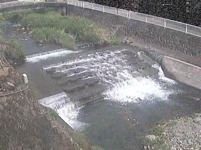 新崎川 新崎橋付近のカメラ画像