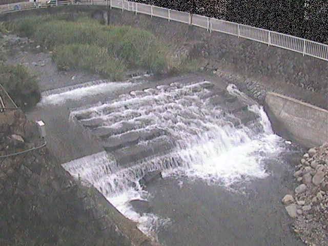 新崎川 新崎橋付近のカメラ画像