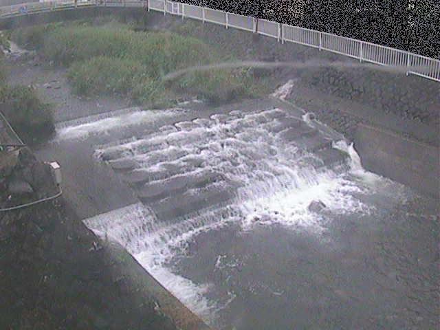 新崎川 新崎橋付近のカメラ画像