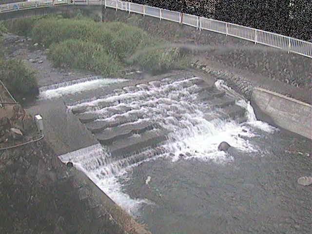 新崎川 新崎橋付近のカメラ画像