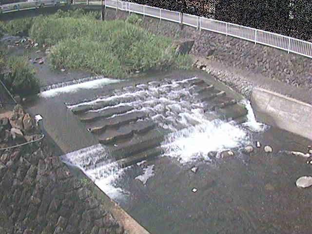 新崎川 新崎橋付近のカメラ画像