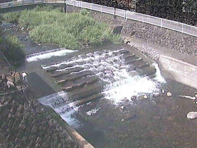 新崎川 新崎橋付近のカメラ画像