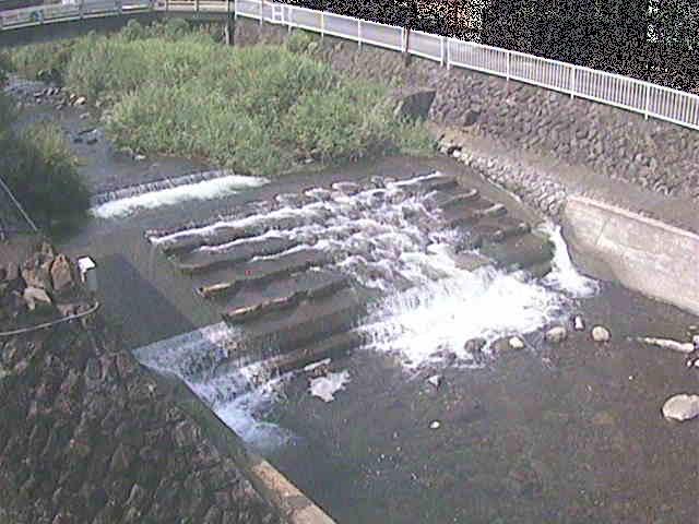 新崎川 新崎橋付近のカメラ画像