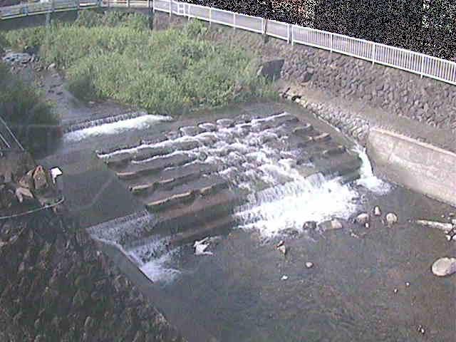 新崎川 新崎橋付近のカメラ画像