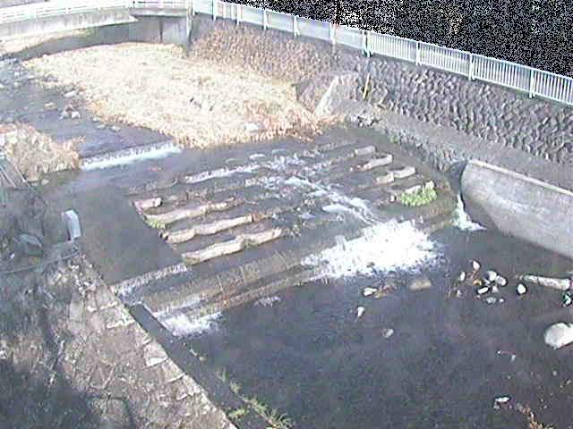 新崎橋付近のカメラ画像