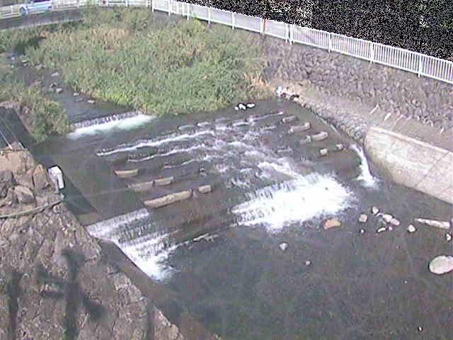 新崎橋付近のカメラ画像