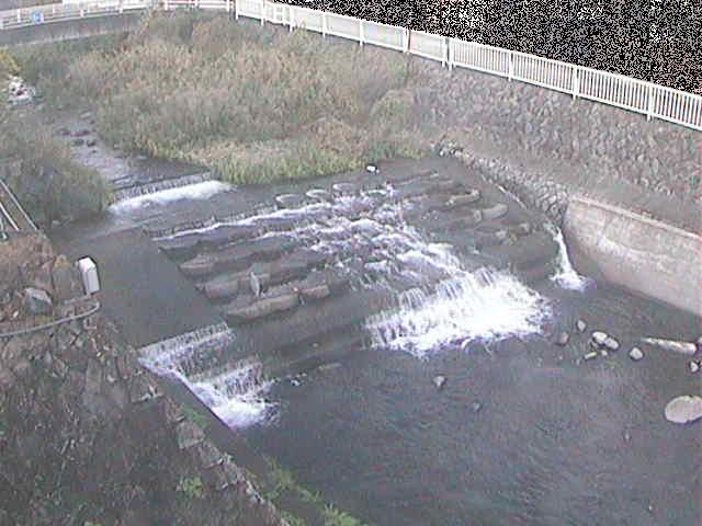 新崎橋付近のカメラ画像