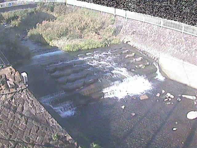 新崎川 新崎橋付近のカメラ画像