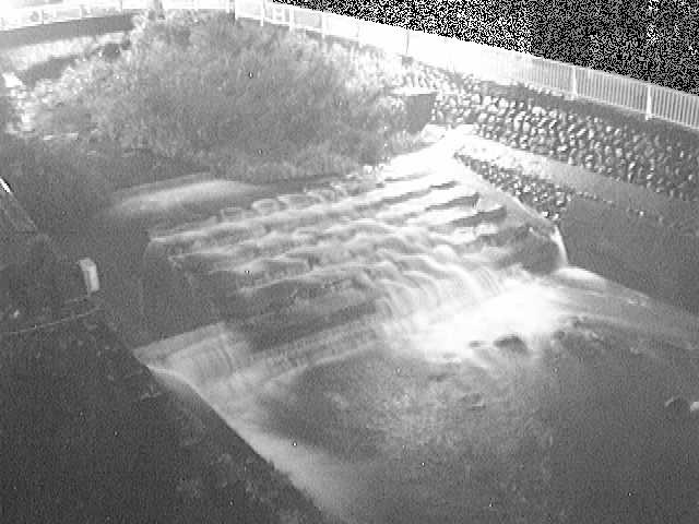 新崎橋付近のカメラ画像