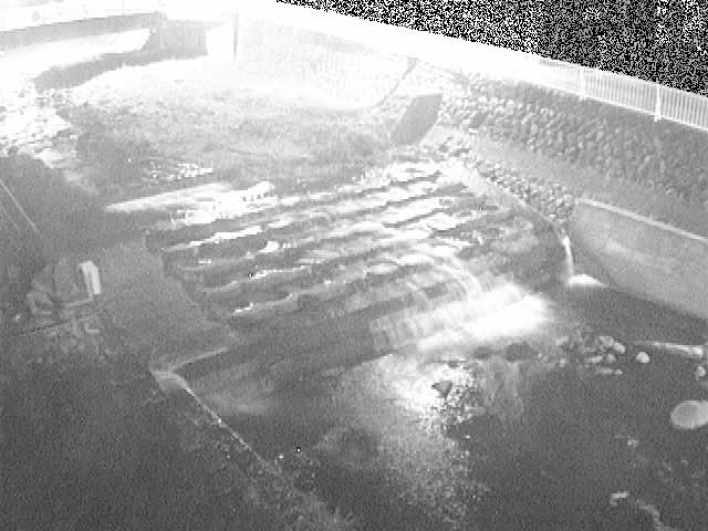 新崎橋付近のカメラ画像