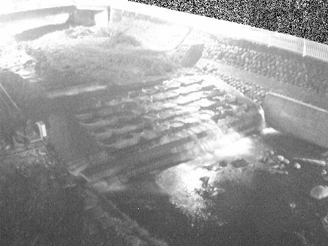 新崎橋付近のカメラ画像