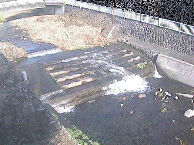 新崎橋付近のカメラ画像