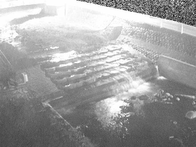 新崎橋付近のカメラ画像