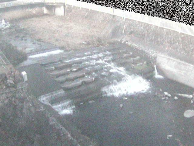 新崎川 新崎橋付近のカメラ画像