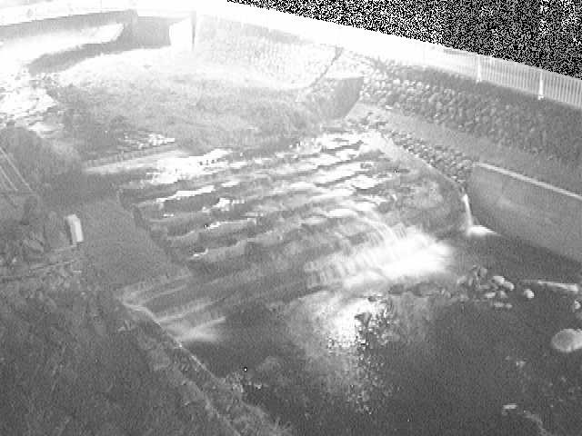 新崎橋付近のカメラ画像