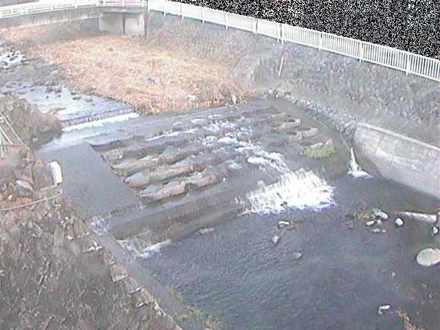 新崎川 新崎橋付近のカメラ画像