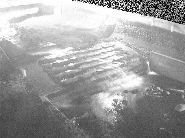 新崎橋付近のカメラ画像