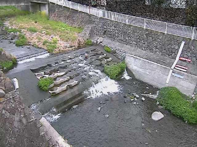 新崎橋付近のカメラ画像