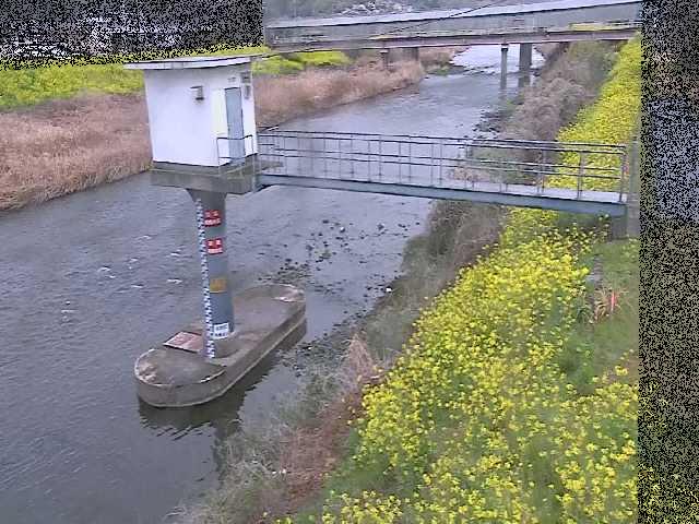 狩川 狩川水位観測所付近のカメラ画像