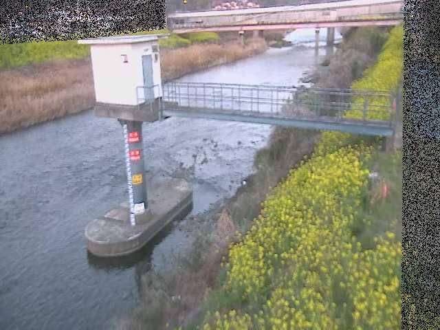 狩川水位観測所付近のカメラ画像