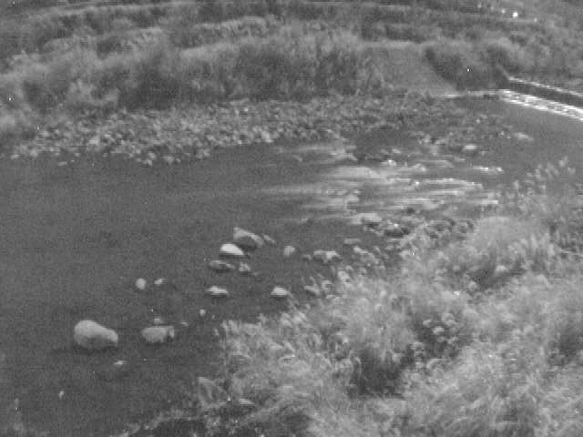 宮城野付近のカメラ画像