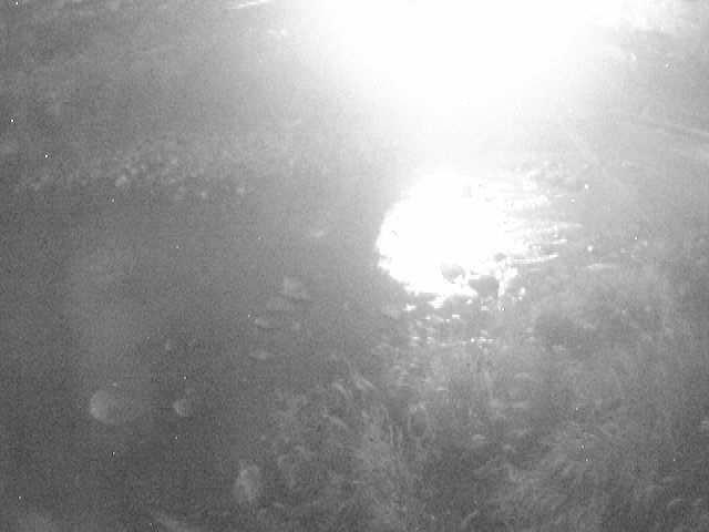 宮城野付近のカメラ画像