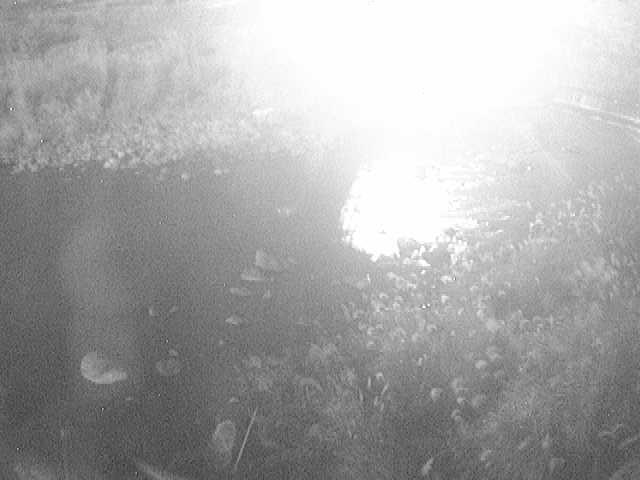 宮城野付近のカメラ画像