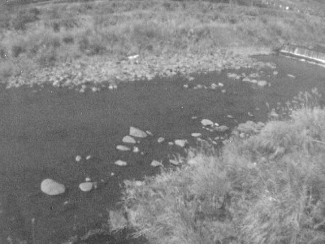 宮城野付近のカメラ画像