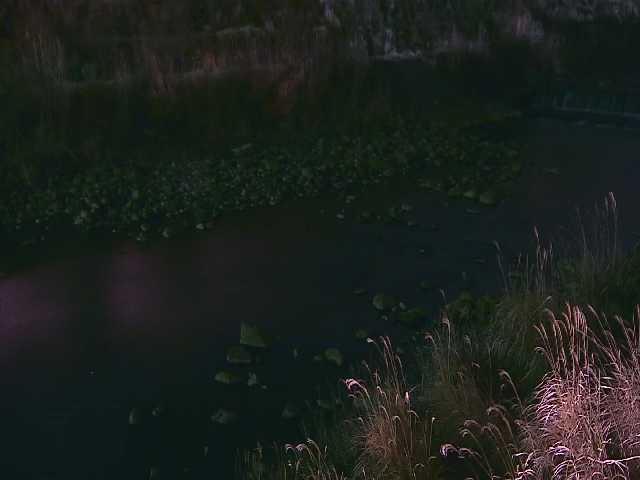 宮城野付近のカメラ画像