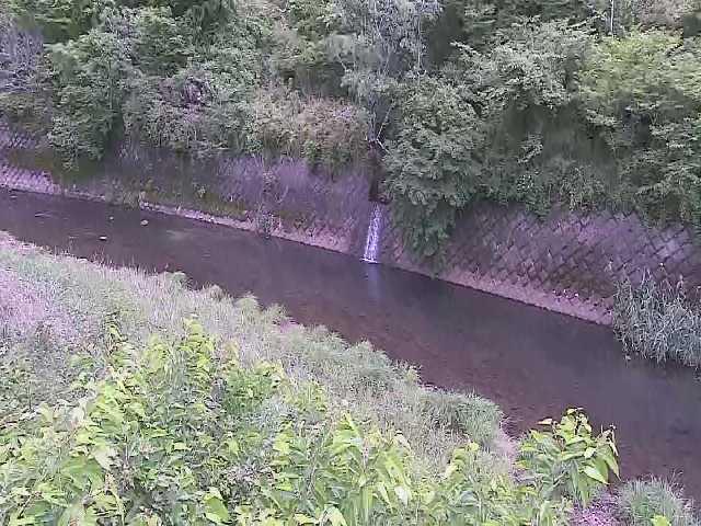 早川 仙石原付近のカメラ画像