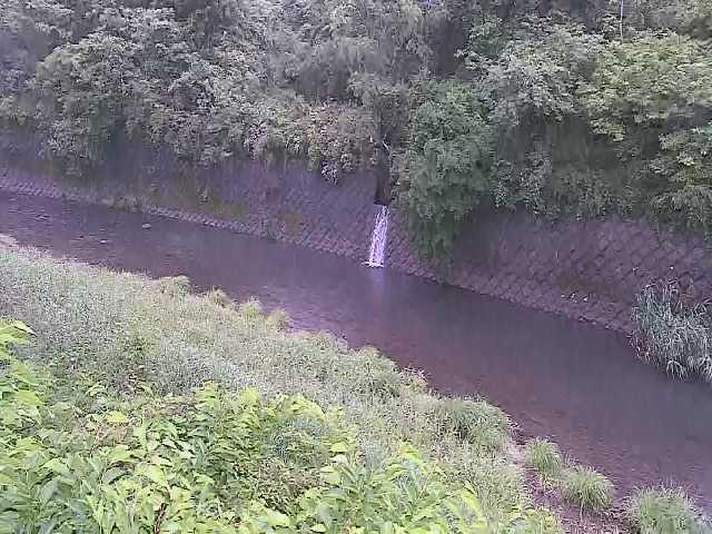 早川 仙石原付近のカメラ画像