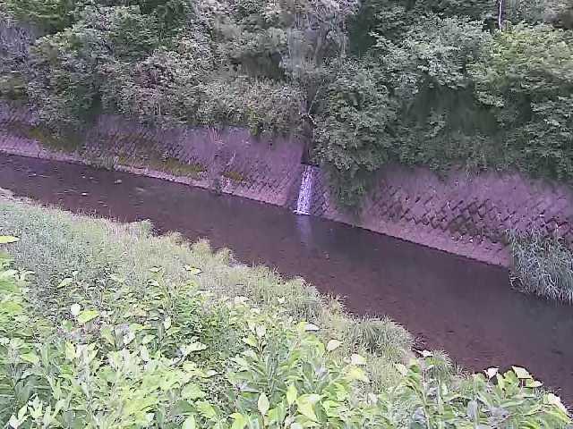 早川 仙石原付近のカメラ画像