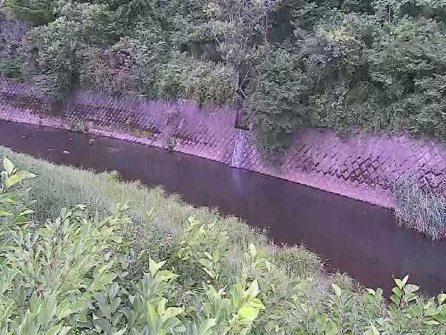 早川 仙石原付近のカメラ画像