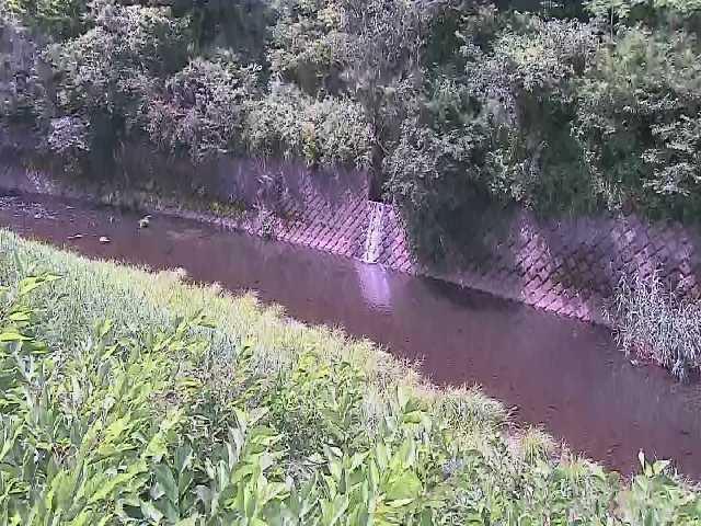 早川 仙石原付近のカメラ画像