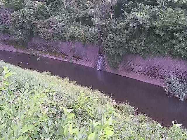 早川 仙石原付近のカメラ画像
