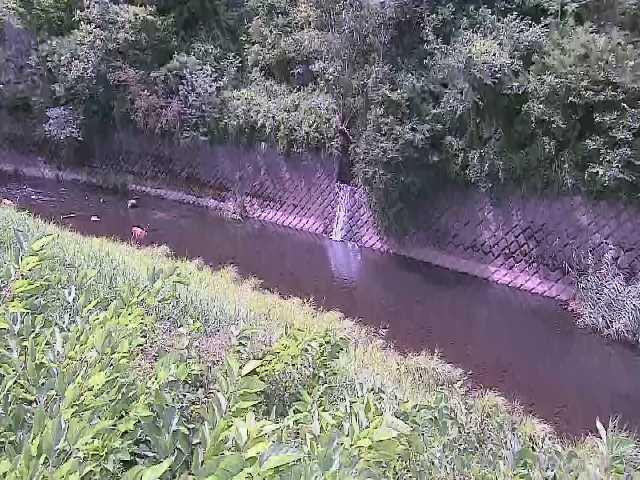 早川 仙石原付近のカメラ画像