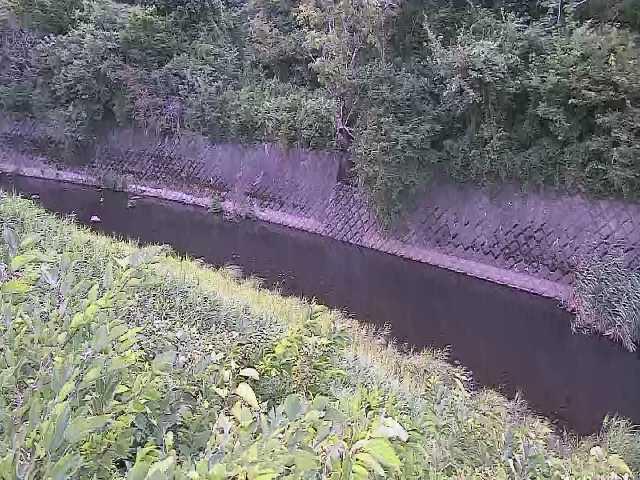 早川 仙石原付近のカメラ画像