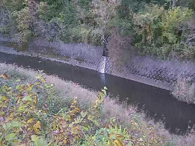 仙石原付近のカメラ画像