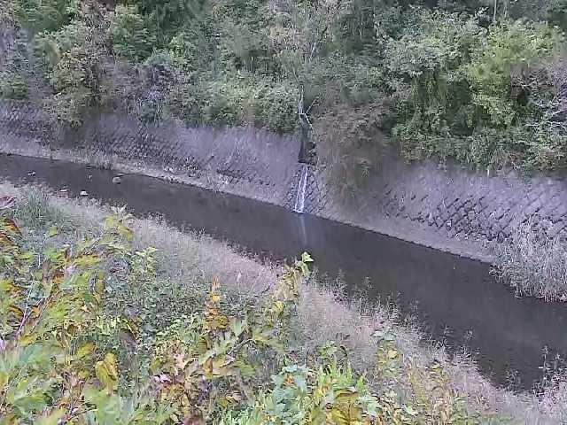 早川 仙石原付近のカメラ画像