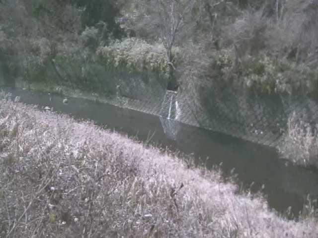 仙石原付近のカメラ画像