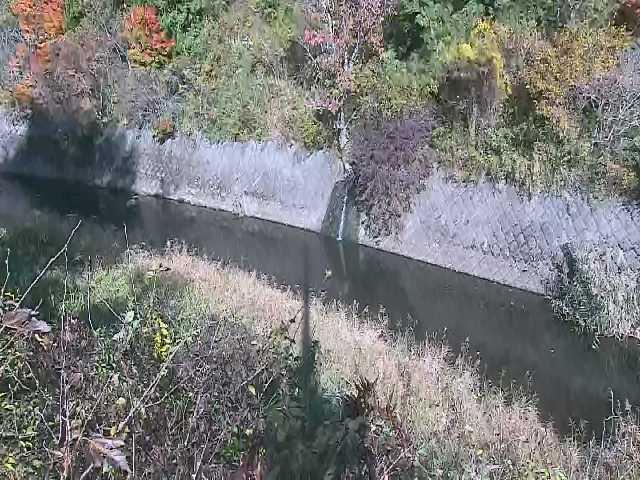 仙石原付近のカメラ画像