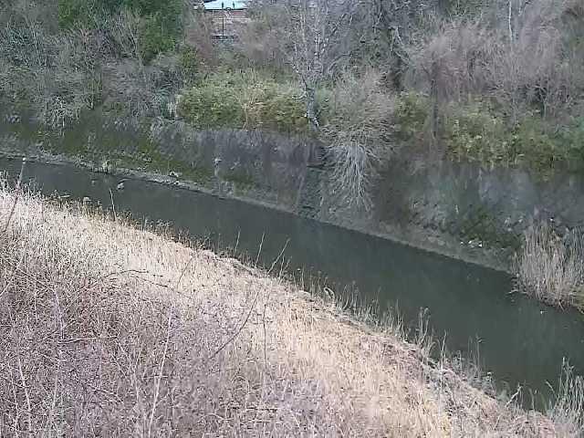 早川 仙石原付近のカメラ画像